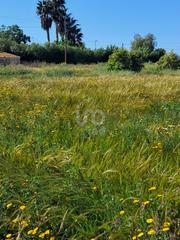 Residential Plot in Purias Residential Plot in Purias