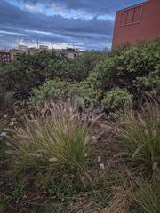 Residential Plot in Calle faisan 15 15 Residential Plot in Calle faisan 15 15