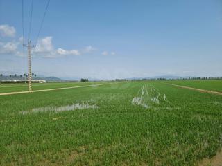 Terreny residencial a Nord Terreny residencial a Nord