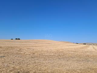 Terreno residenziale in Arcos de la Frontera Terreno residenziale in Arcos de la Frontera