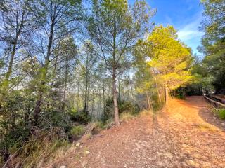 Terreno residenziale in Ador Terreno residenziale in Ador