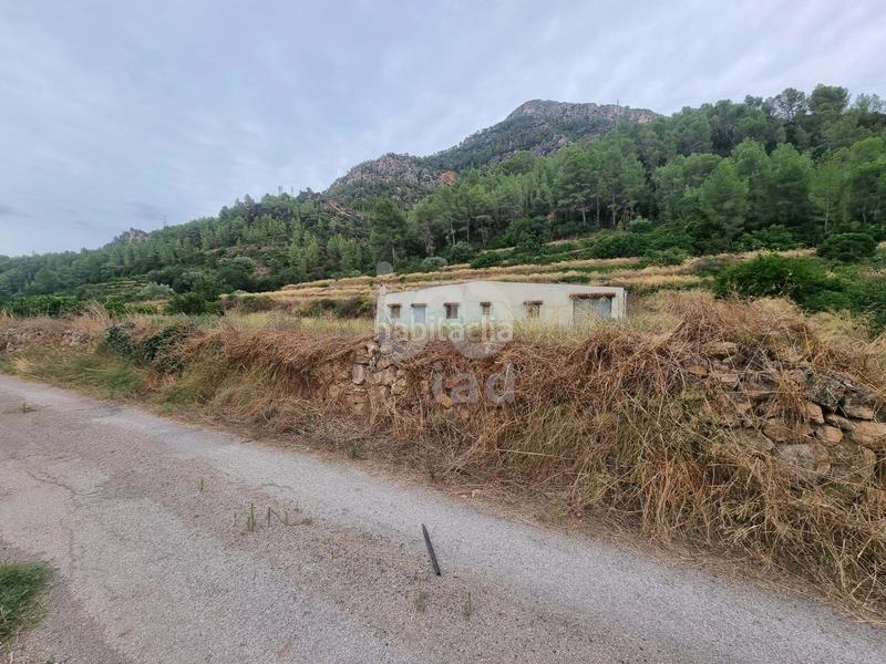 Foto 26e11fe6-1fc6-4f2a-96e9-18ebf9178502. Finca rústica a Benifallet Foto 26e11fe6-1fc6-4f2a-96e9-18ebf9178502. Finca rústica a Benifallet
