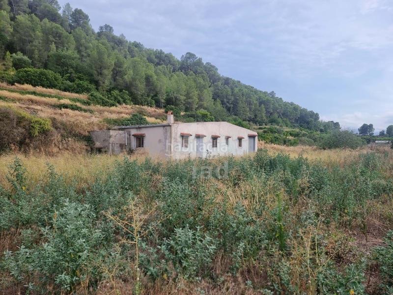 Foto ae9f2bba-5122-4b6a-9d64-3e3065045e51. Finca rústica a Benifallet Foto ae9f2bba-5122-4b6a-9d64-3e3065045e51. Finca rústica a Benifallet