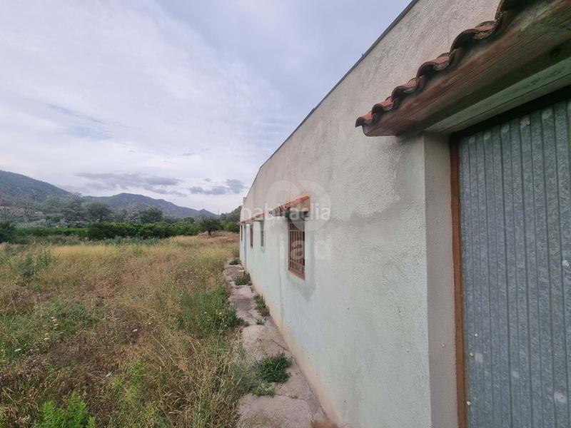 Foto f7dfbd0e-171b-4f0d-81aa-55096bb641fe. Finca rústica a Benifallet Foto f7dfbd0e-171b-4f0d-81aa-55096bb641fe. Finca rústica a Benifallet
