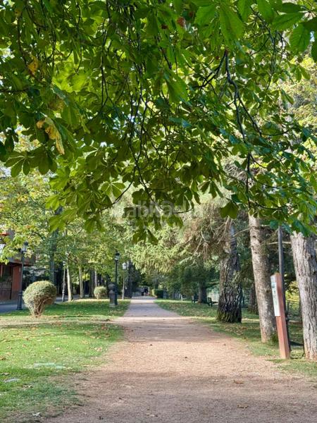 Foto f5ebc6c3-13f6-46ef-be09-7d9af4e65b88. Appartamento con riscaldamento piscina in Centro - Llano Samper Jaca Foto f5ebc6c3-13f6-46ef-be09-7d9af4e65b88. Appartamento con riscaldamento piscina in Centro - Llano Samper Jaca