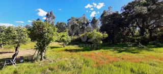 Propriété à Villablanca Propriété à Villablanca