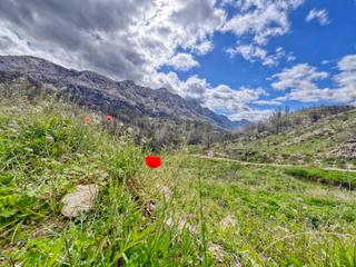 Residential Plot in Tárbena Residential Plot in Tárbena