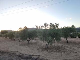 Terreny residencial a Salinas Terreny residencial a Salinas