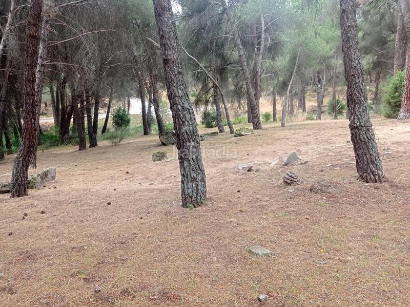 Foto 128d8e7f-fdbd-45cb-9337-707504f51950. Terreny residencial a San Martín de Valdeiglesias Foto 128d8e7f-fdbd-45cb-9337-707504f51950. Terreny residencial a San Martín de Valdeiglesias