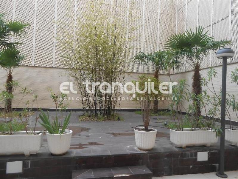 Foto e49d90b9-dae2-40eb-a4c0-3b29c12acaee. Rent flat with parking pool in Palos de Moguer Madrid Foto e49d90b9-dae2-40eb-a4c0-3b29c12acaee. Rent flat with parking pool in Palos de Moguer Madrid