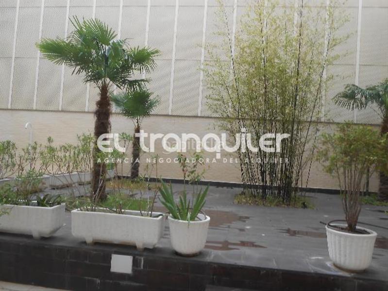 Foto e75c8765-a02b-4de7-a4a8-8ec41ea1a7cc. Rent flat with parking pool in Palos de Moguer Madrid Foto e75c8765-a02b-4de7-a4a8-8ec41ea1a7cc. Rent flat with parking pool in Palos de Moguer Madrid