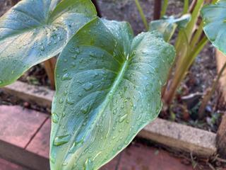 Casa en Cardedeu. Casa de pueblo en venta en cardedeu Casa en Cardedeu. Casa de pueblo en venta en cardedeu