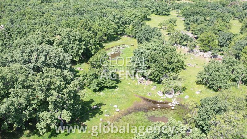 Foto c2a696ff-7d6b-4dfc-991b-cc7d2e1d57eb. Country house with fireplace parking in Centro-Manguilla Escorial (El) Foto c2a696ff-7d6b-4dfc-991b-cc7d2e1d57eb. Country house with fireplace parking in Centro-Manguilla Escorial (El)