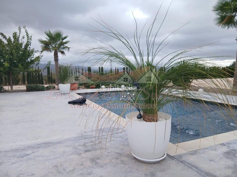 Foto 7fec8524-f23a-46ac-906c-feabd78a9baa. Casa amb piscina a Sax Foto 7fec8524-f23a-46ac-906c-feabd78a9baa. Casa amb piscina a Sax