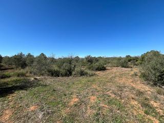 Rural plot in Bonastre. Finca rústica de 11.250 m2 Rural plot in Bonastre. Finca rústica de 11.250 m2