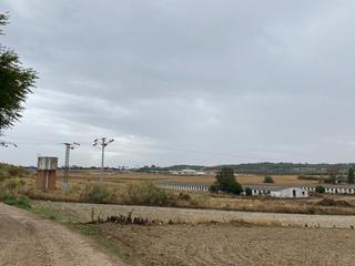 Rent Rural plot Nacional 404. Finca rústica de 39.000 mts2 en la carretera n404 muy próximo a Rent Rural plot Nacional 404. Finca rústica de 39.000 mts2 en la carretera n404 muy próximo a