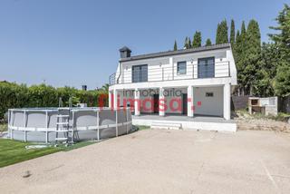 House Junco House Junco