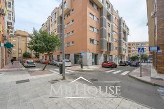 Flat  Carolina coronado Flat  Carolina coronado