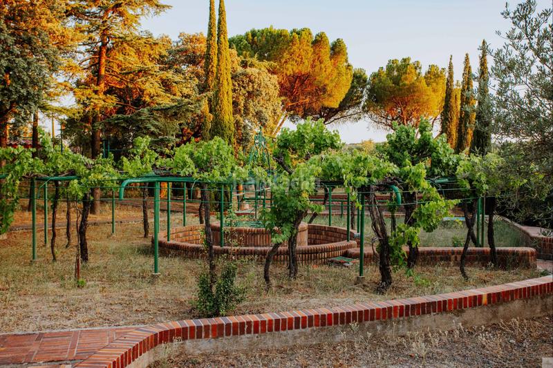 Foto 076ad49c-9d7b-4efa-808f-5cef6118c52c. Xalet amb calefacció aparcament a Navalquejigo-Los Arroyos Escorial (El) Foto 076ad49c-9d7b-4efa-808f-5cef6118c52c. Xalet amb calefacció aparcament a Navalquejigo-Los Arroyos Escorial (El)