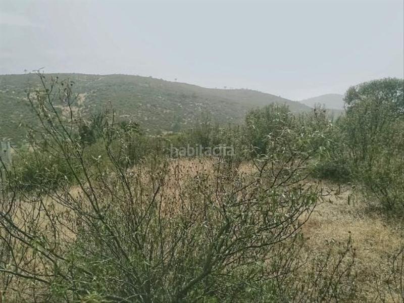Foto 8ef811a8-4f72-4555-a2ee-578d94592c34. Terreny residencial a Robledo de Chavela Foto 8ef811a8-4f72-4555-a2ee-578d94592c34. Terreny residencial a Robledo de Chavela