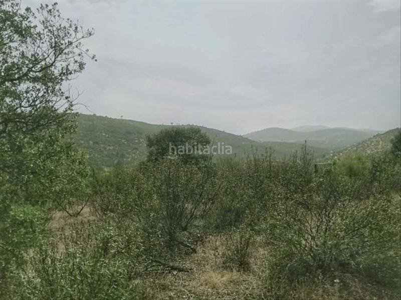 Foto ffa194ea-6394-42c2-ae4c-30adfe2ec0b3. Terreny residencial a Robledo de Chavela Foto ffa194ea-6394-42c2-ae4c-30adfe2ec0b3. Terreny residencial a Robledo de Chavela