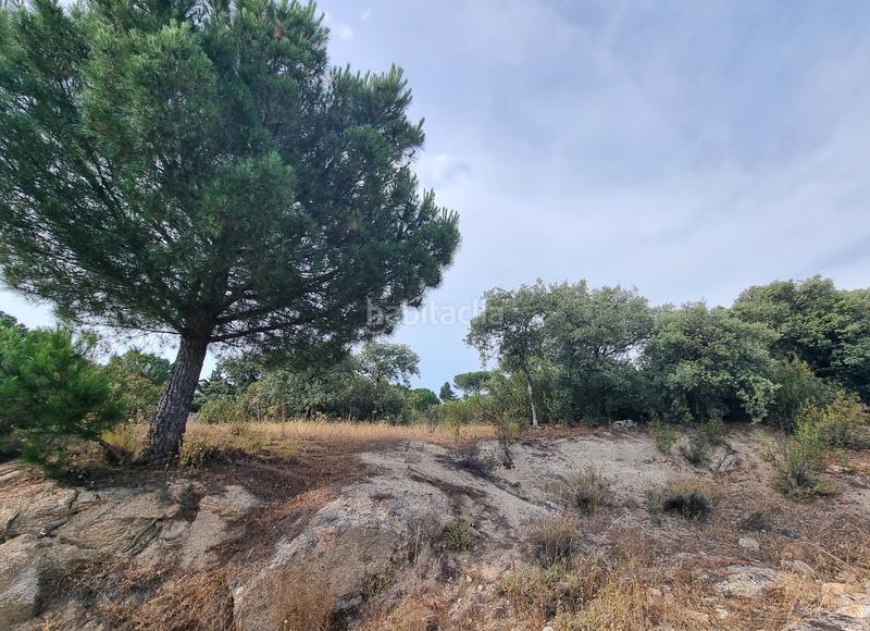 Foto 438c2292-bd59-4467-b138-785d1d5e60db. Wohngrundstück in calle de santiáñez 2 in Hoyo de Manzanares Foto 438c2292-bd59-4467-b138-785d1d5e60db. Wohngrundstück in calle de santiáñez 2 in Hoyo de Manzanares