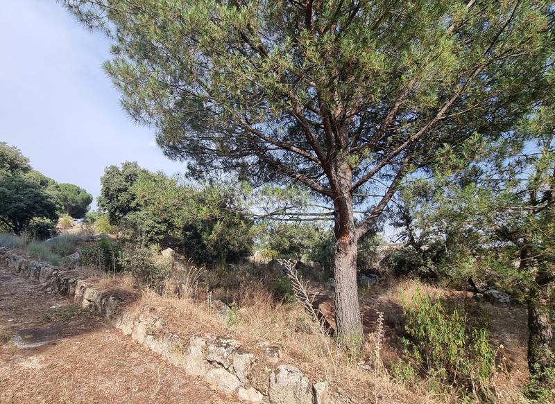 Foto 836e735e-523e-4c48-97fc-b6a33befdbc2. Wohngrundstück in calle de santiáñez 2 in Hoyo de Manzanares Foto 836e735e-523e-4c48-97fc-b6a33befdbc2. Wohngrundstück in calle de santiáñez 2 in Hoyo de Manzanares