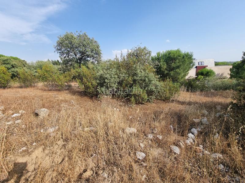 Foto cd43244a-e8e9-43e3-a209-a249327b29dc. Wohngrundstück in calle de santiáñez 2 in Hoyo de Manzanares Foto cd43244a-e8e9-43e3-a209-a249327b29dc. Wohngrundstück in calle de santiáñez 2 in Hoyo de Manzanares