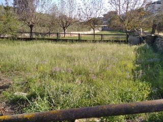 Residential Plot Calle sajolida. Oportunidad gran parcela en castellar del valles Residential Plot Calle sajolida. Oportunidad gran parcela en castellar del valles