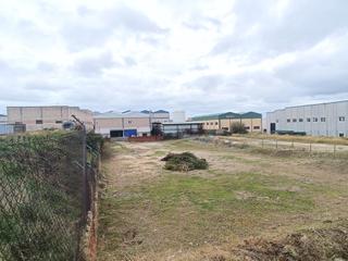Rent Residential Plot Oro Rent Residential Plot Oro