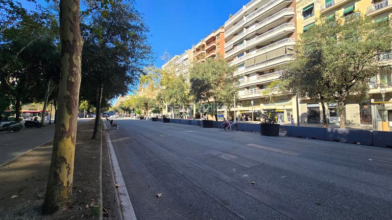 Foto df2b8d95-669d-4795-a883-e98b3209350b. Affitto locale commerciale in Dreta de l´Eixample Barcelona Foto df2b8d95-669d-4795-a883-e98b3209350b. Affitto locale commerciale in Dreta de l´Eixample Barcelona