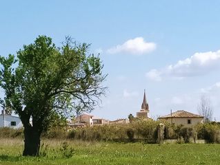 Fondo rustico in Binissalem. Con licencia, proyecto,pozo Fondo rustico in Binissalem. Con licencia, proyecto,pozo