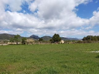 Finca rústica en Binissalem. Finca con licencia y pozo Finca rústica en Binissalem. Finca con licencia y pozo