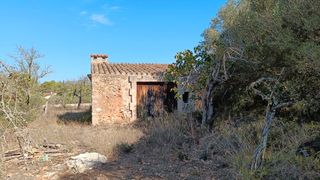 Propriété à Lloc poligon 1.b, 7. Oportunidad finca rústica Propriété à Lloc poligon 1.b, 7. Oportunidad finca rústica