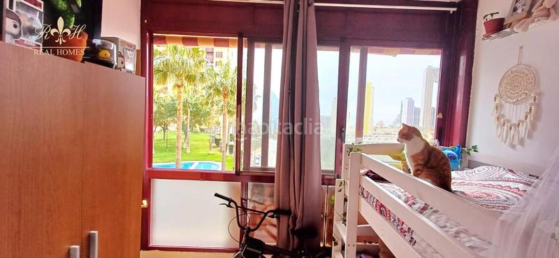 Foto d09afcfb-5efd-484e-8ff5-a64c4d150888. Etagenwohnung mit heizung parking pool in Via Parque Benidorm Foto d09afcfb-5efd-484e-8ff5-a64c4d150888. Etagenwohnung mit heizung parking pool in Via Parque Benidorm