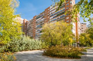 Appartamento  Plaza villafranca de los barros. Estudio home madrid ofrece piso de 105 m2 en la zona de peñagran Appartamento  Plaza villafranca de los barros. Estudio home madrid ofrece piso de 105 m2 en la zona de peñagran