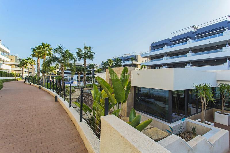 Foto 151b926b-65a7-41a2-9bad-1d3a2fdb08cf. Planta baixa amb aparcament piscina a Playa Flamenca Orihuela Foto 151b926b-65a7-41a2-9bad-1d3a2fdb08cf. Planta baixa amb aparcament piscina a Playa Flamenca Orihuela