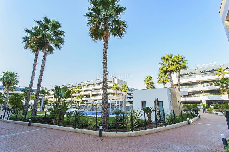 Foto 30c17b9d-2fa0-4683-aa3d-b7c3b3bdacf8. Planta baixa amb aparcament piscina a Playa Flamenca Orihuela Foto 30c17b9d-2fa0-4683-aa3d-b7c3b3bdacf8. Planta baixa amb aparcament piscina a Playa Flamenca Orihuela