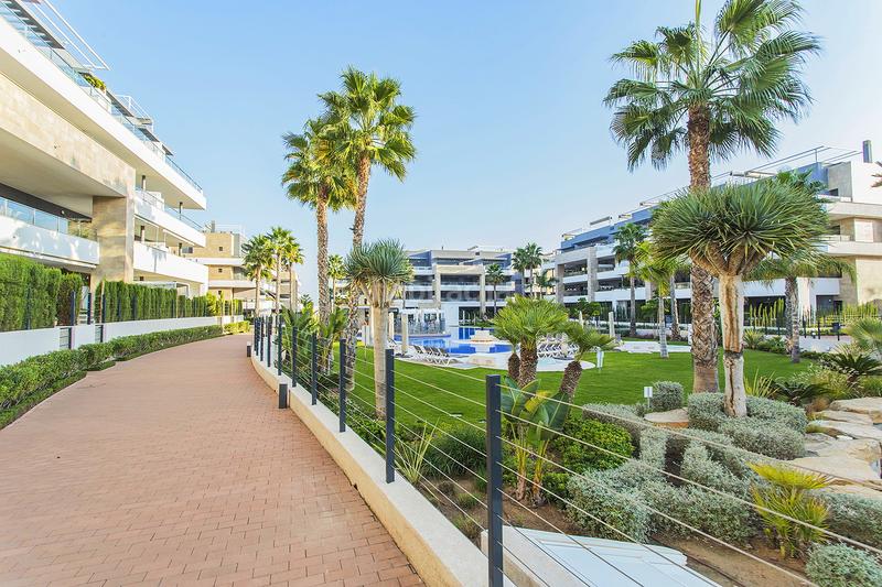 Foto 6731e754-021b-4c1f-86a8-a64ff7a78bb9. Planta baixa amb aparcament piscina a Playa Flamenca Orihuela Foto 6731e754-021b-4c1f-86a8-a64ff7a78bb9. Planta baixa amb aparcament piscina a Playa Flamenca Orihuela