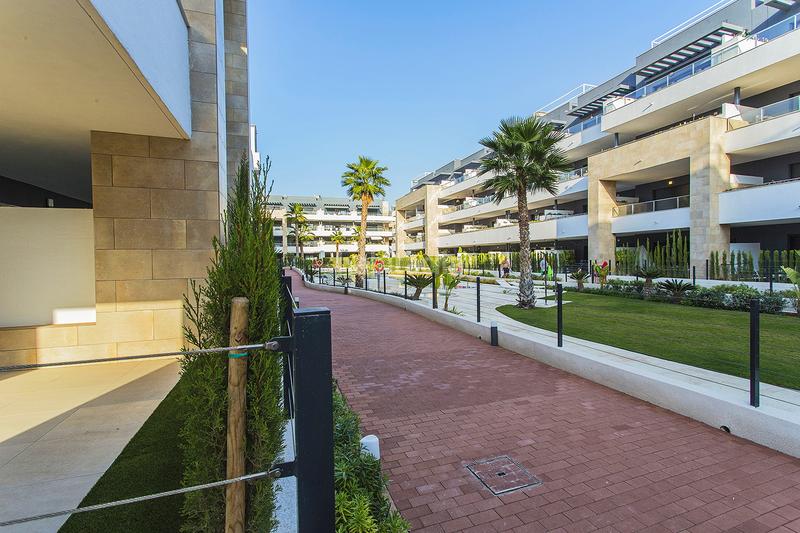 Foto 8f5d83c9-85c6-4b2b-94aa-e4d9424c7f75. Planta baixa amb aparcament piscina a Playa Flamenca Orihuela Foto 8f5d83c9-85c6-4b2b-94aa-e4d9424c7f75. Planta baixa amb aparcament piscina a Playa Flamenca Orihuela