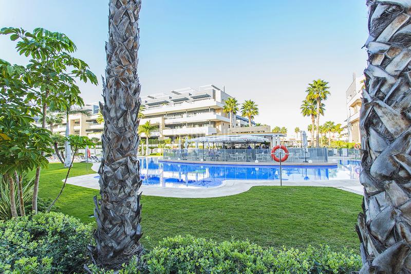 Foto e4eb0b05-f31c-4740-b958-70964f7c9241. Planta baixa amb aparcament piscina a Playa Flamenca Orihuela Foto e4eb0b05-f31c-4740-b958-70964f7c9241. Planta baixa amb aparcament piscina a Playa Flamenca Orihuela