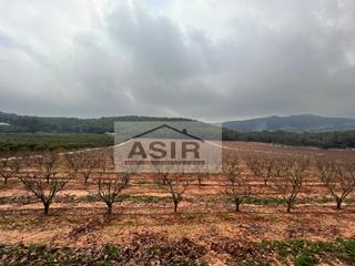 Xalet a Urbanitzacions i Pedanies Sud. Excelente finca con más de 150 hanegadas 80 hanegadas de kaki y Xalet a Urbanitzacions i Pedanies Sud. Excelente finca con más de 150 hanegadas 80 hanegadas de kaki y