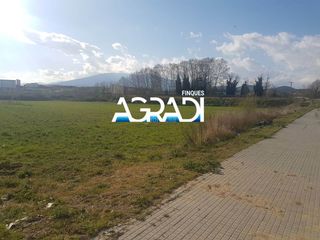Lloguer Solar industrial en Carretera batlloria, 3. Parcela industrial en alquiler en sant feliu de buixalleu Lloguer Solar industrial en Carretera batlloria, 3. Parcela industrial en alquiler en sant feliu de buixalleu