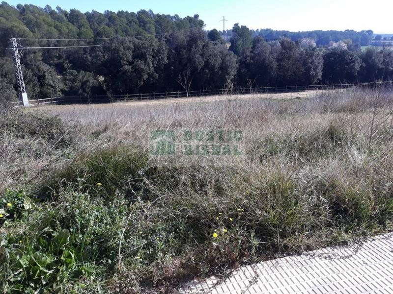 Foto 8540042e-fa33-49a9-9c8f-2a26bd3d4606. Terreny residencial a Garrigoles Foto 8540042e-fa33-49a9-9c8f-2a26bd3d4606. Terreny residencial a Garrigoles