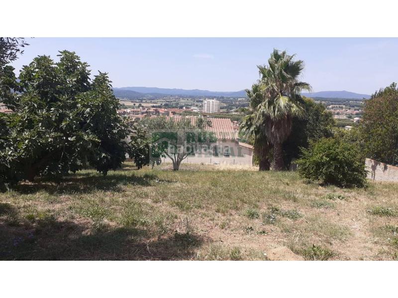 Foto ae2fbd11-bbaa-4c3e-b950-01e77d48277a. Wohngrundstück in Bisbal d´Empordà (La) Foto ae2fbd11-bbaa-4c3e-b950-01e77d48277a. Wohngrundstück in Bisbal d´Empordà (La)