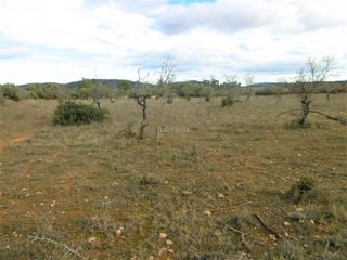 Terreny residencial en Useres (les). Finca rustica llana Terreny residencial en Useres (les). Finca rustica llana