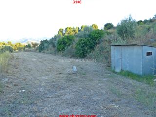 Finca rústica en Pinell de Brai (El). Finca rustica pinell de brai Finca rústica en Pinell de Brai (El). Finca rustica pinell de brai