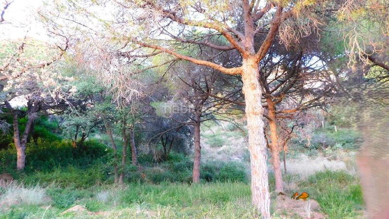 Foto 822cc74f-e78f-42c2-b3ec-188c0722391b. Terrain résidentiel dans Can Quirze Mataró Foto 822cc74f-e78f-42c2-b3ec-188c0722391b. Terrain résidentiel dans Can Quirze Mataró