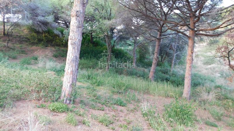 Foto c4076ef1-67b8-4697-928a-af0f1c0feee5. Terrain résidentiel dans Can Quirze Mataró Foto c4076ef1-67b8-4697-928a-af0f1c0feee5. Terrain résidentiel dans Can Quirze Mataró