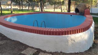 Country house in San Agustín de Guadalix Country house in San Agustín de Guadalix